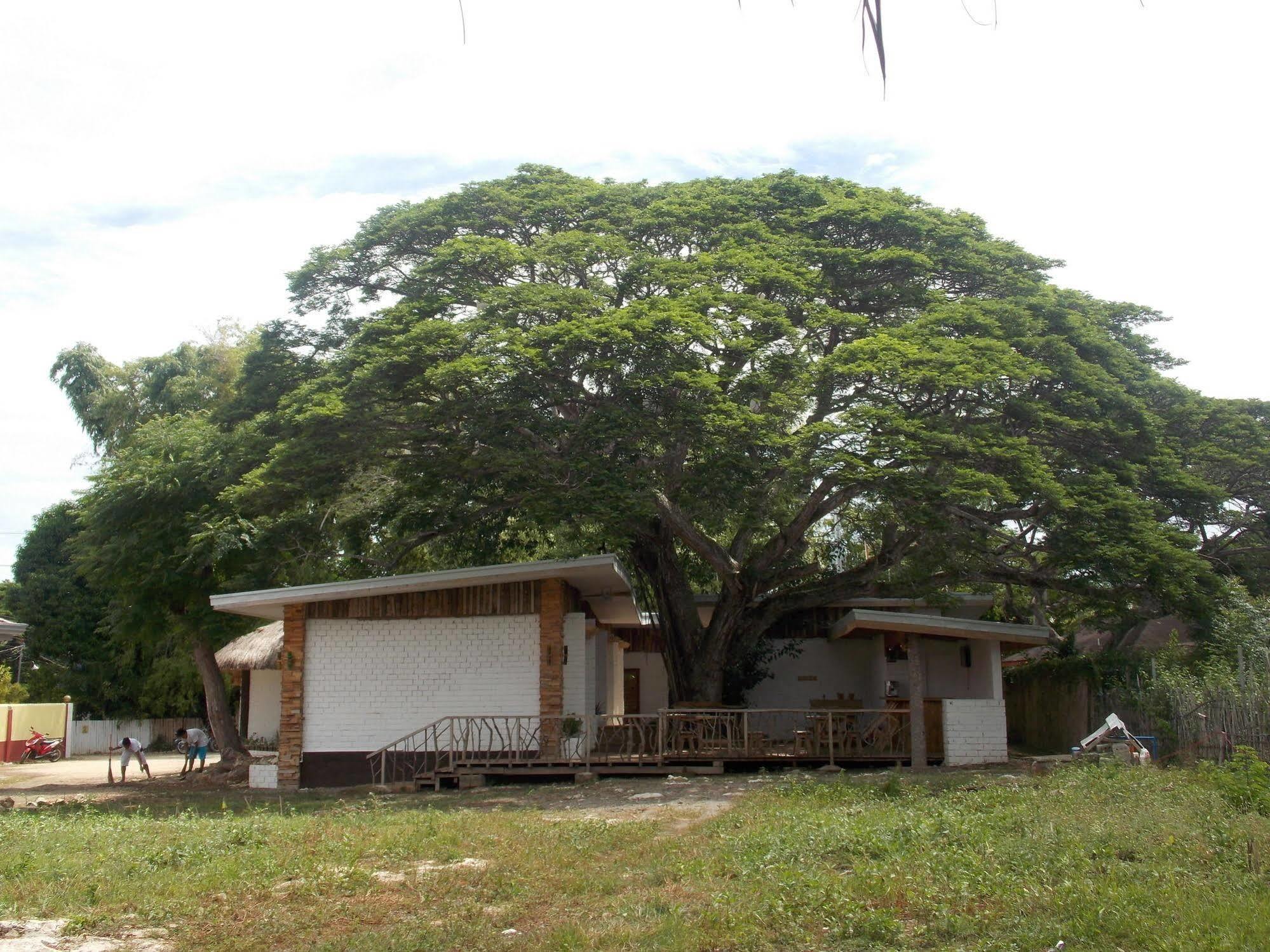 Albergue Dormitels.Ph Bohol Tawala  Exterior foto
